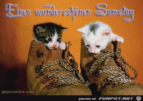 Wunderschoenen Samstag Wunderschoenen Samstag