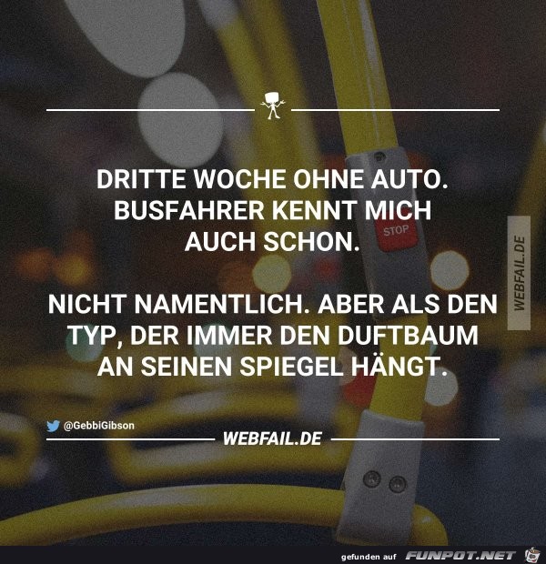 Duftbaum Duftbaum