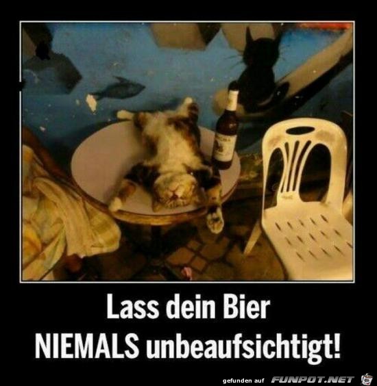 Bier nie alleine lassen Bier nie alleine lassen