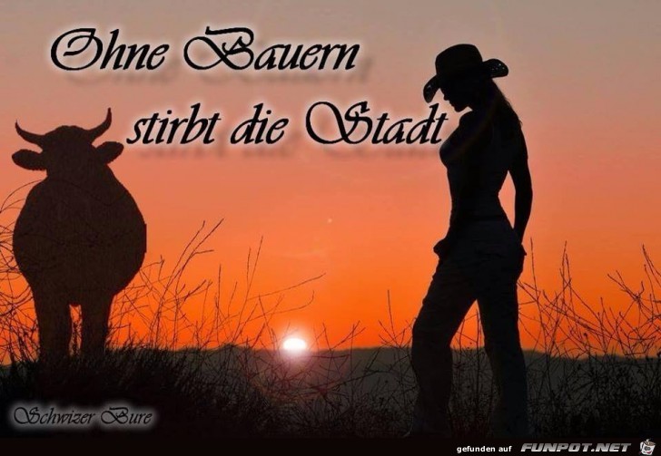 Ohne Bauern