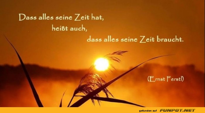 10 schöne Sprüche und Lebensweisheiten aus... 10 schöne Sprüche und Lebensweisheiten aus...