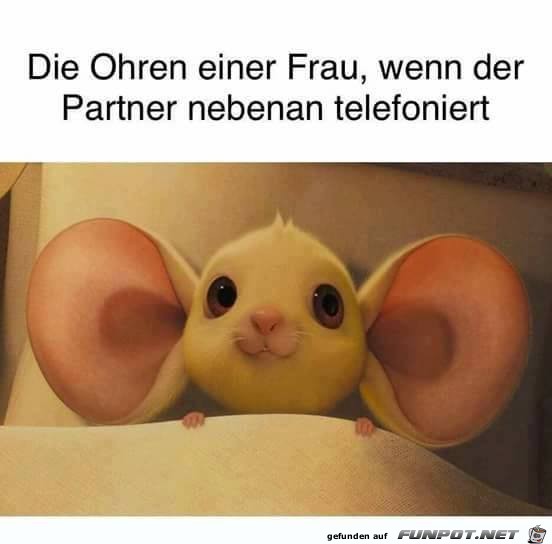 Die Ohren einer Frau