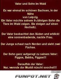 Füchse Füchse