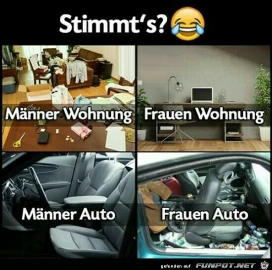 Der Vergleich Der Vergleich