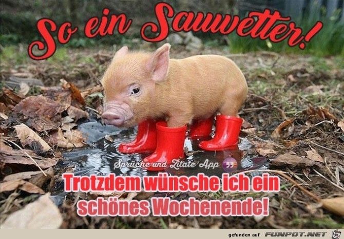 Sauwetter Sauwetter
