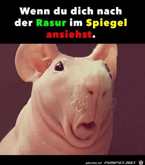 Du meine Güte Du meine Güte