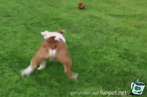 Überschlag Überschlag