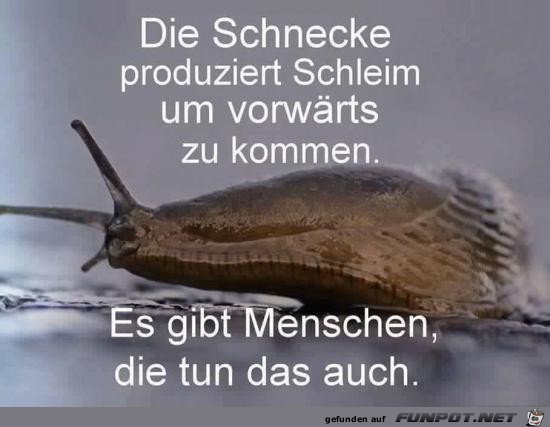 die Schnecke produziert Schleim.......