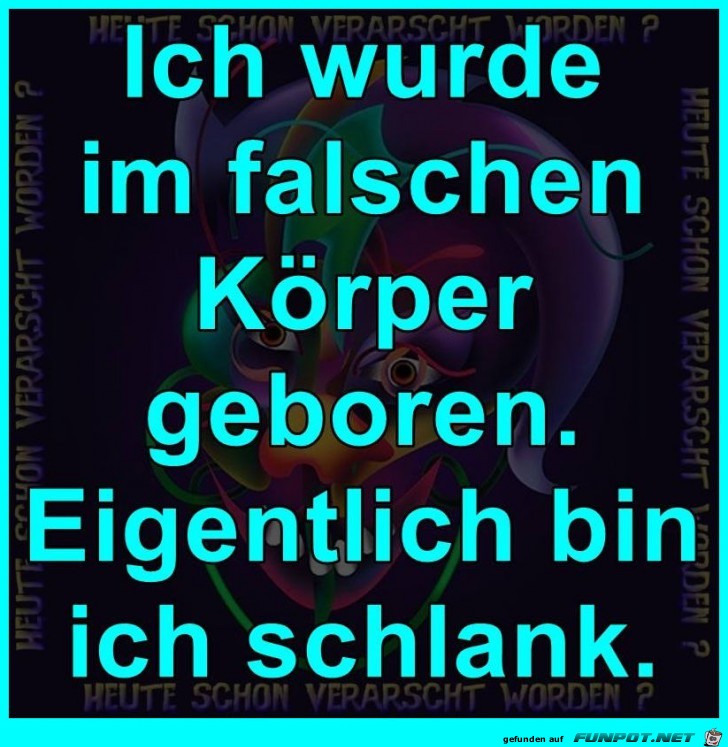 Falscher Koerper