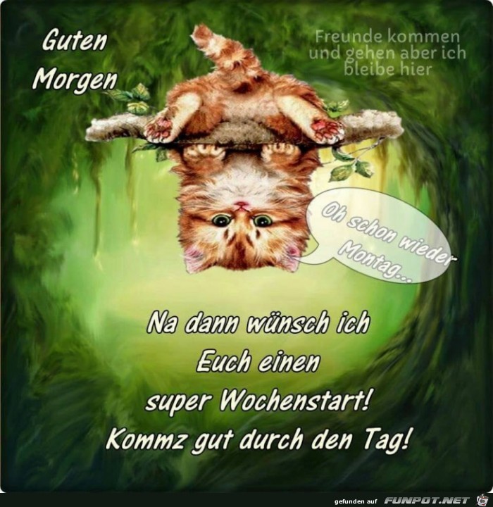 Guten Morgen