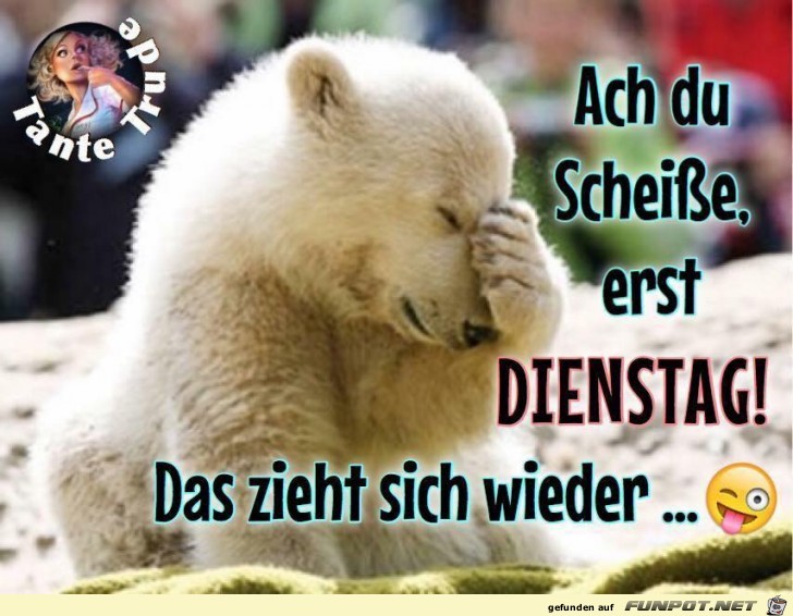 Ach du Scheisse Ach du Scheisse