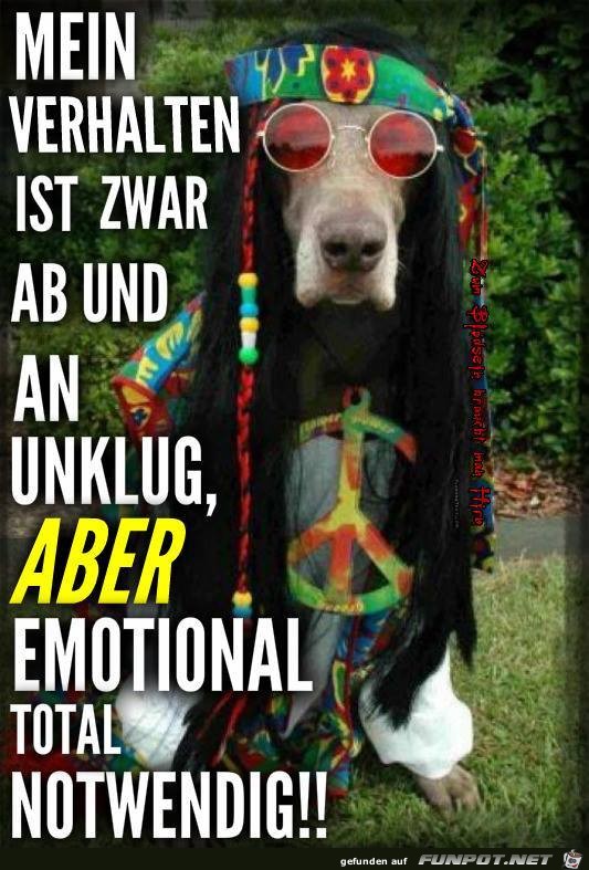 Mein Verhalten Mein Verhalten