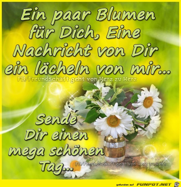 Ein paar Blumen