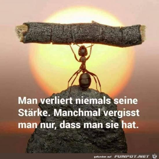 Stärke Stärke