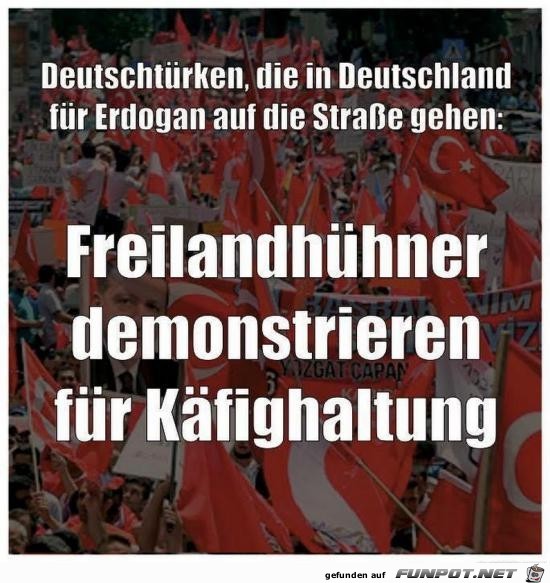 Deutschtürken...... Deutschtürken......