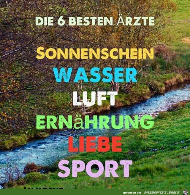 Die 6 besten Aerzte Die 6 besten Aerzte