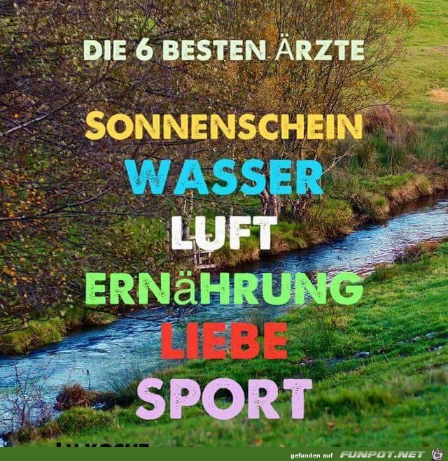 Die 6 besten Aerzte