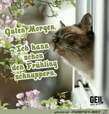 Kann schon den Fruehling schnuppern Kann schon den Fruehling schnuppern