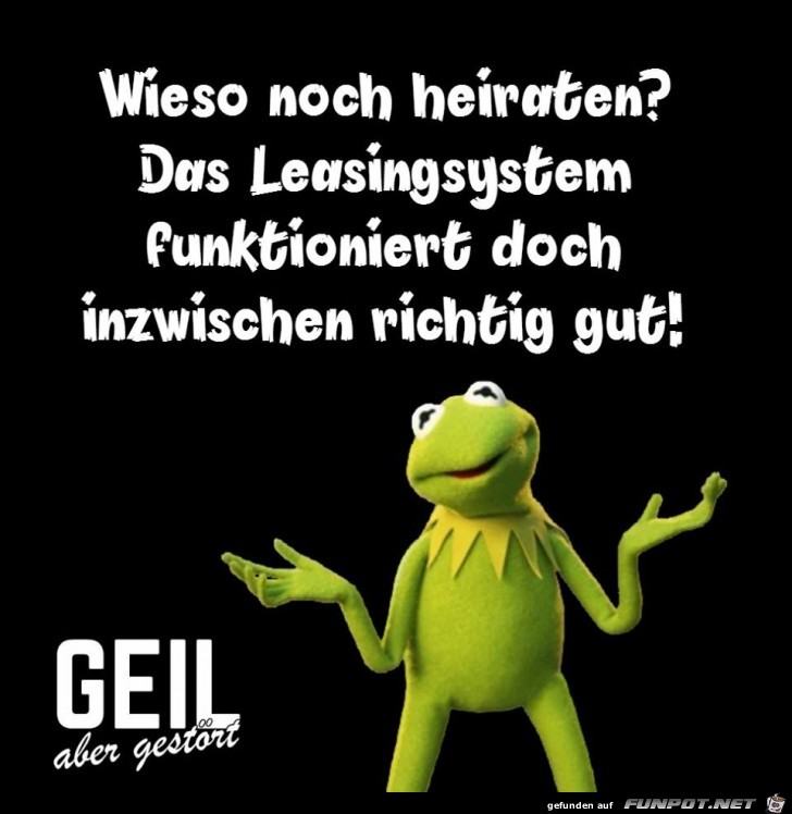 Wieso noch heiraten Wieso noch heiraten