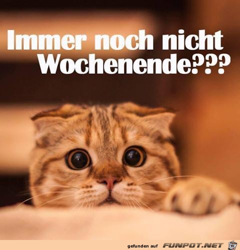 Wochenende?