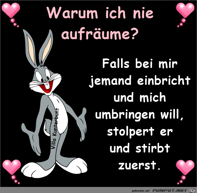 Warum ich nie aufraeume Warum ich nie aufraeume