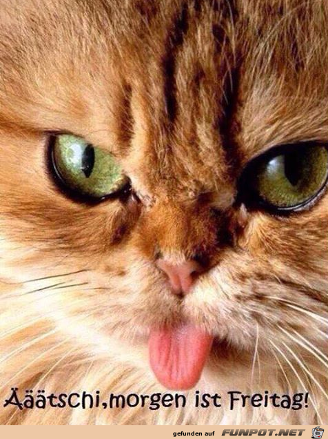 Morgen ist Freitag Morgen ist Freitag