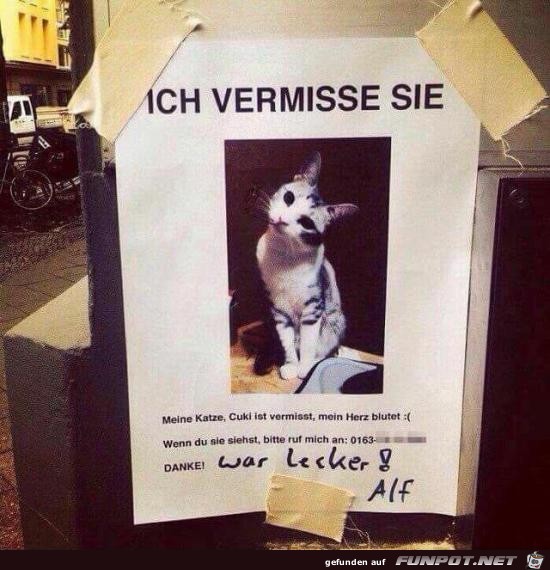 War lecker War lecker
