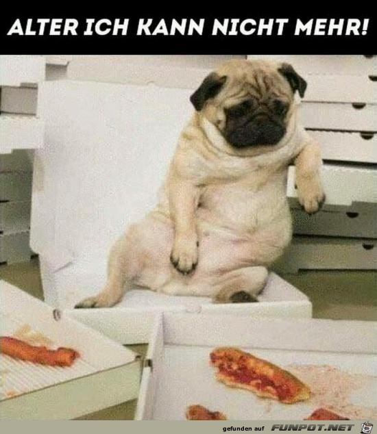 Satt Satt