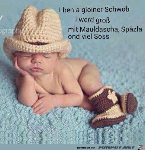 Ein kleiner Schwabe Ein kleiner Schwabe