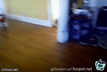 Sprung falsch angesetzt Sprung falsch angesetzt