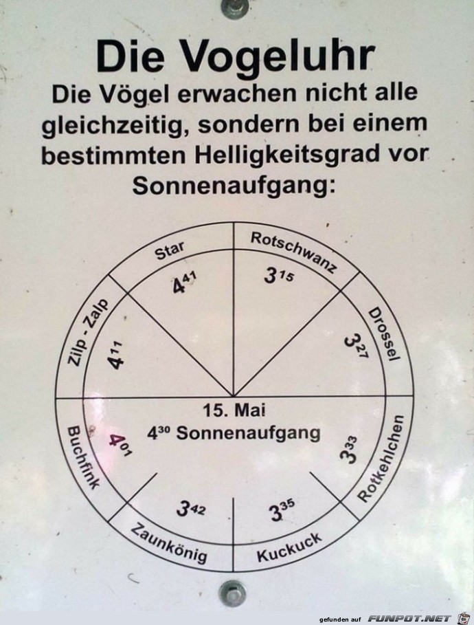 Vogeluhr