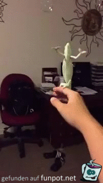 Siefenblasen fangen Siefenblasen fangen