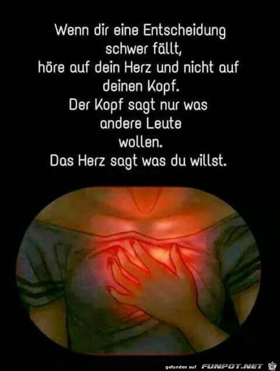 Das Herz