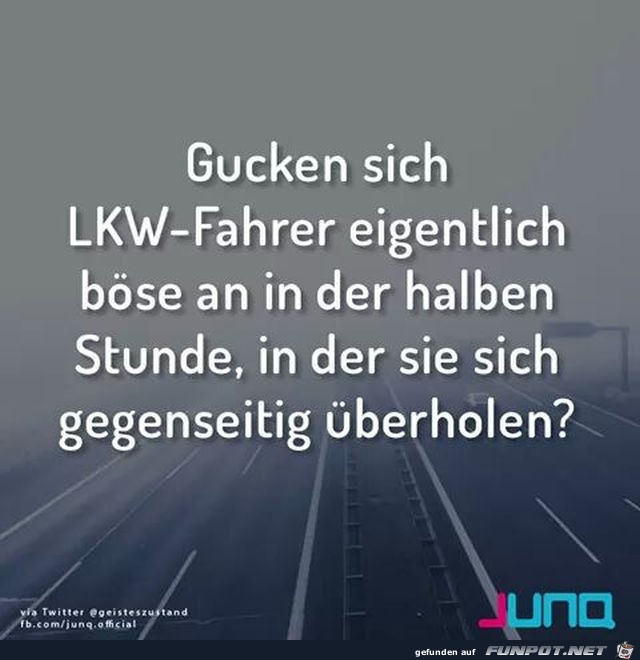 Elefantenrennen Elefantenrennen