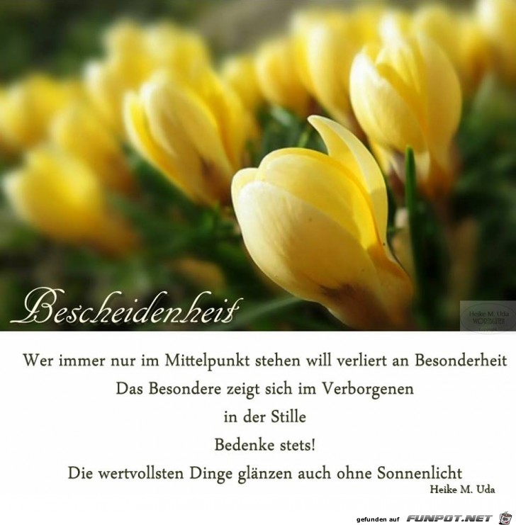 Bescheidenheit Bescheidenheit