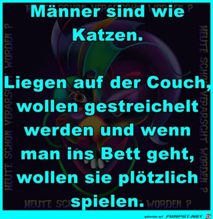 Maenner sind wie Katzen Maenner sind wie Katzen