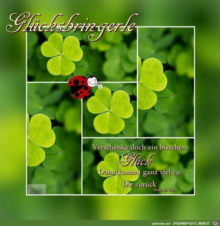 Gluecksbringerle Gluecksbringerle