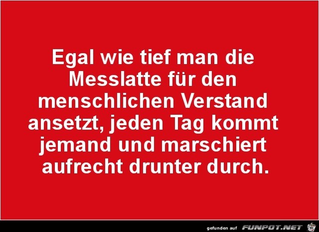 egal wie tief man die Messlatte ansetzt.......