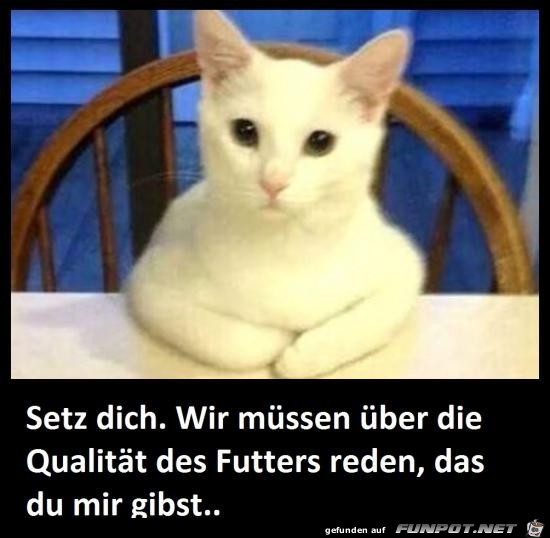 setz dich.........