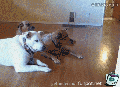 Wer kommt da Wer kommt da