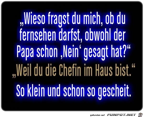 Wieso fragst du mich Wieso fragst du mich