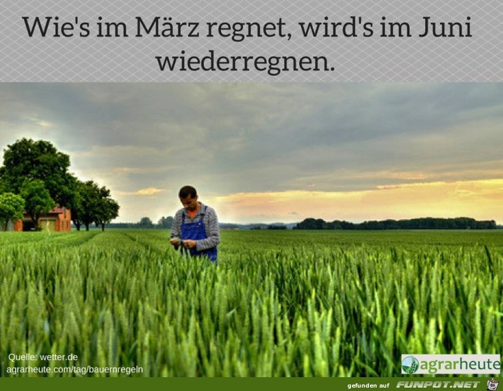 Wiederholendes Wetter Wiederholendes Wetter
