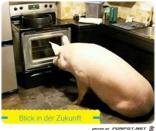 Blick in die Zukunft Blick in die Zukunft