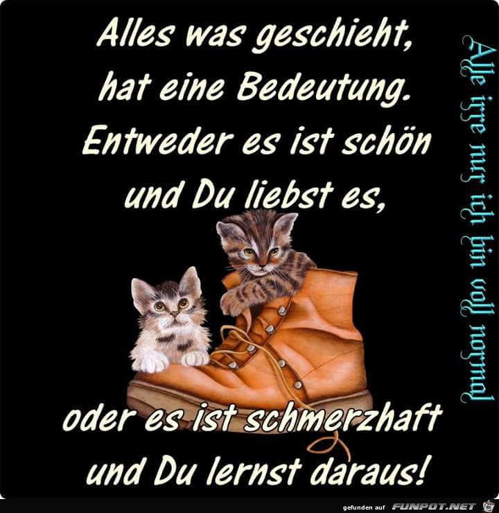 Alles was geschieht Alles was geschieht