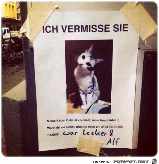 Alf Alf