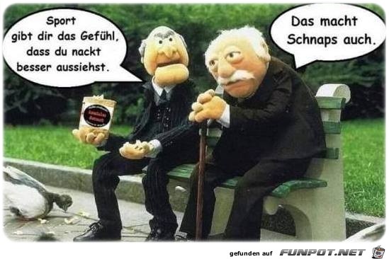 Sport Sport