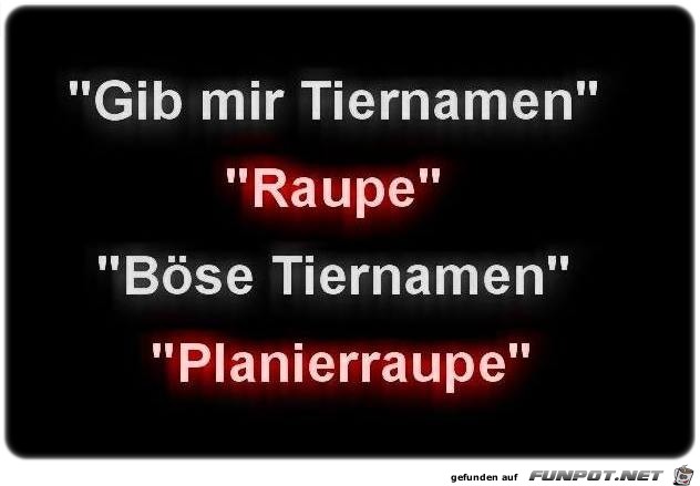 Tiernamen Tiernamen