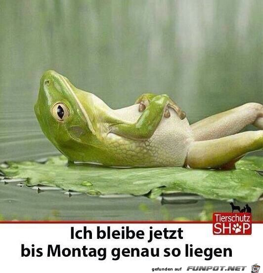 bis montag liegenbleiben