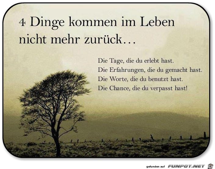 4 Dinge 4 Dinge