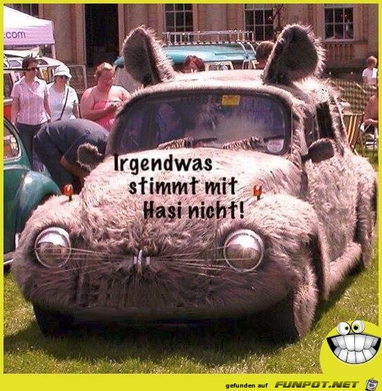Hasi Hasi